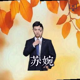 苏婉